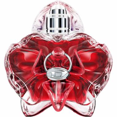 Only Desire 50 ml